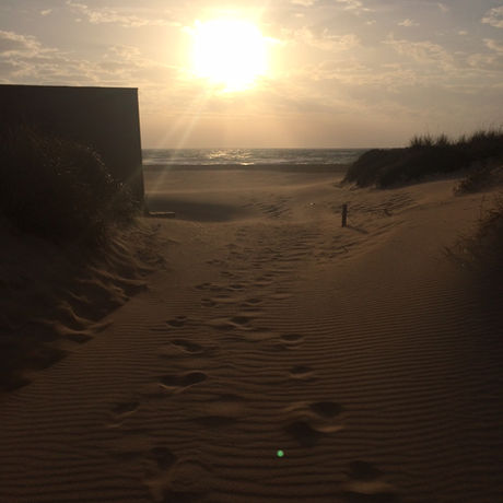 Handstand On The Beach, Fasting, Wintery Ocean Swims & Coaching