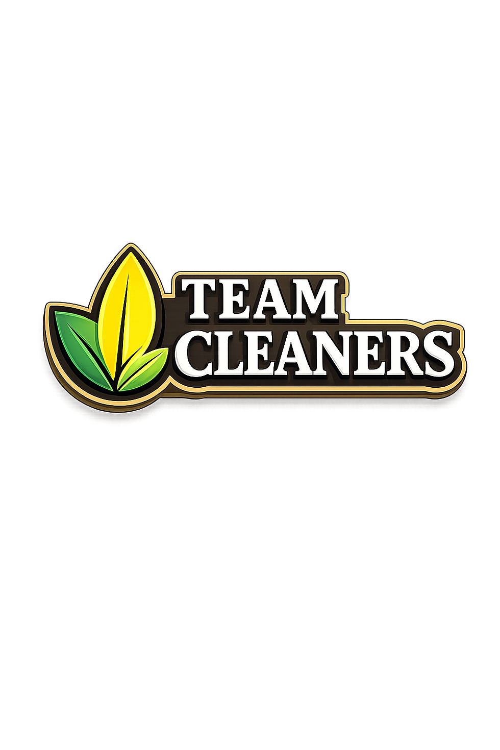 Logo team cleaners.png