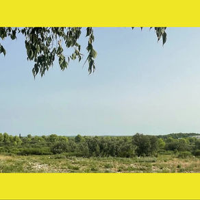 Recours contre la bétonisation des garrigues