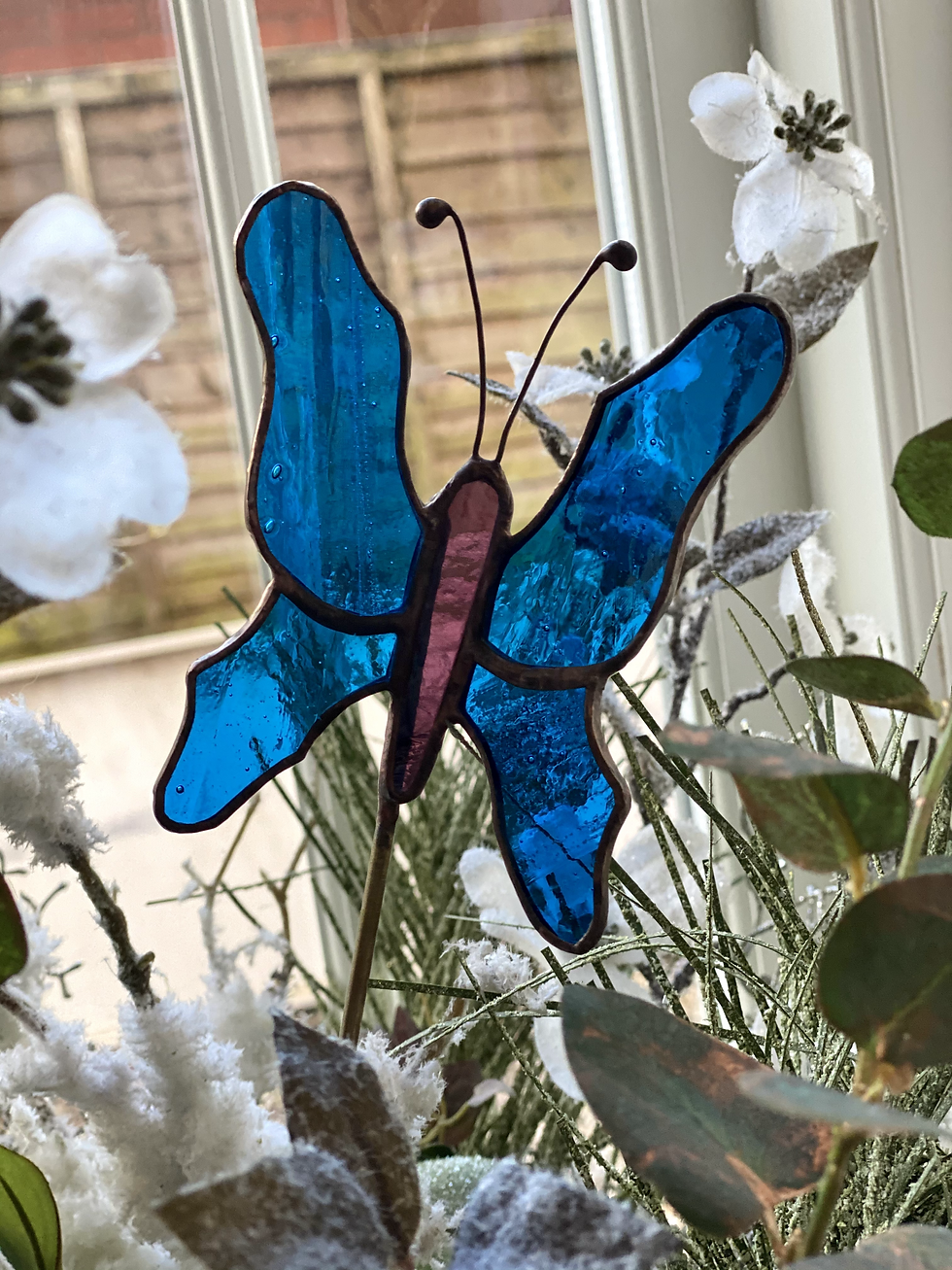 Thumbnail: Blue Butterfly