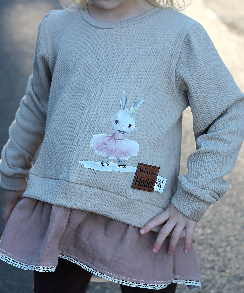 Miniaturbild: Bügelbild Ice Bunny