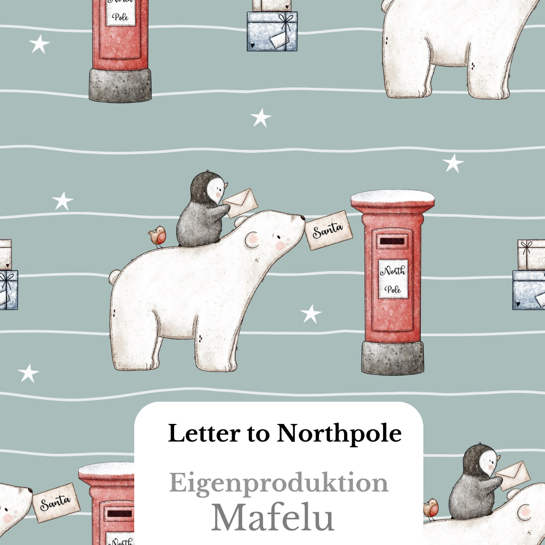 Vorbestellung Bio Premium Ripp Jersey Letter to Northpole