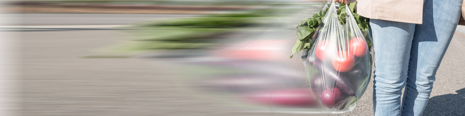 carrying bag of veg.jpg