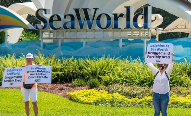 Boycott SeaWorld Day July 24th