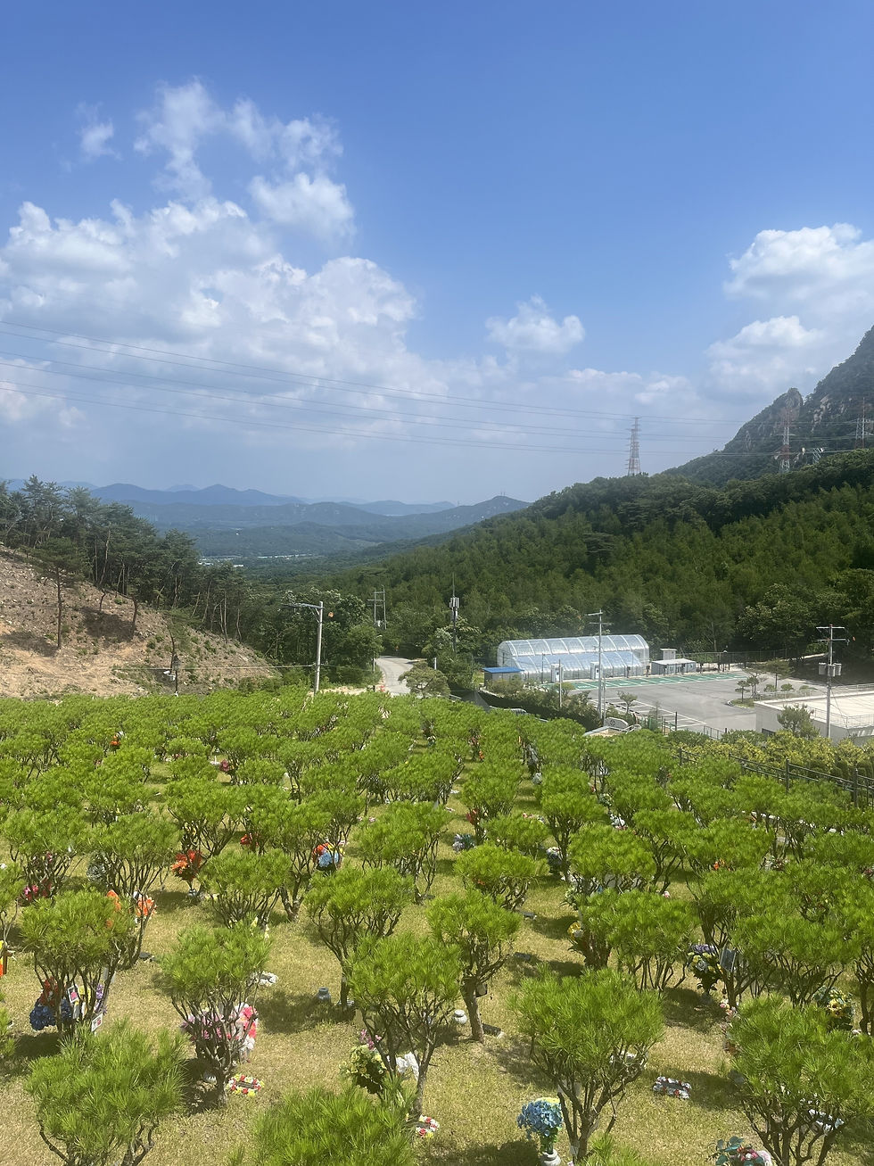 양주수목장/동두천수목장/연천수목장/의정부수목장/일산수목장/양주수목장가격/서울인근수목장/경기도수목장/남양주수목장/양주추모공원/경기도추모공원/남양주추모공원/포천수목장/서울근교수목장/연천수목장/포천추모공원/연천추모공원/구리수목장/양평장지