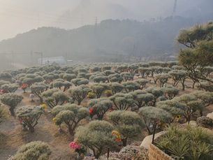 겨울에도 마음이 포근한 서울수목장