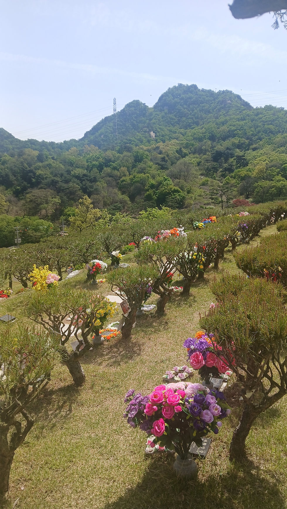 의정부수목장/양주수목장/동두천수목장/포천수목장/연천수목장/서울수목장/양평수목장/남양주수목장