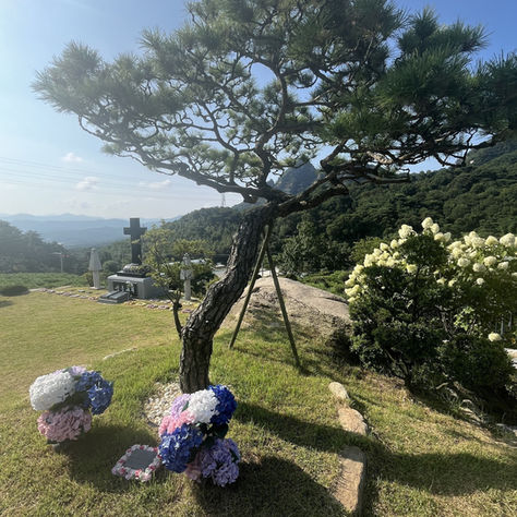 양주수목장/동두천수목장/연천수목장/의정부수목장/일산수목장/양주수목장가격/서울인근수목장/경기도수목장/남양주수목장/양주추모공원/경기도추모공원/남양주추모공원/포천수목장/서울근교수목장/연천수목장/포천추모공원/연천추모공원/구리수목장/양평장지