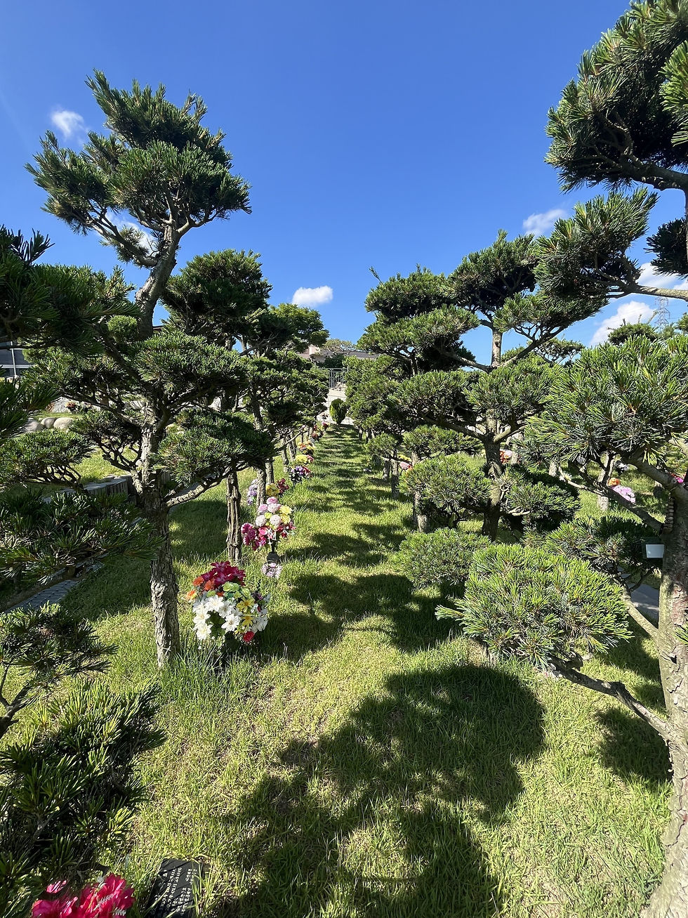 양주수목장/동두천수목장/연천수목장/의정부수목장/일산수목장/양주수목장가격/서울인근수목장/경기도수목장/남양주수목장/양주추모공원/경기도추모공원/남양주추모공원/포천수목장/서울근교수목장/연천수목장/포천추모공원/연천추모공원/구리수목장/양평장지
