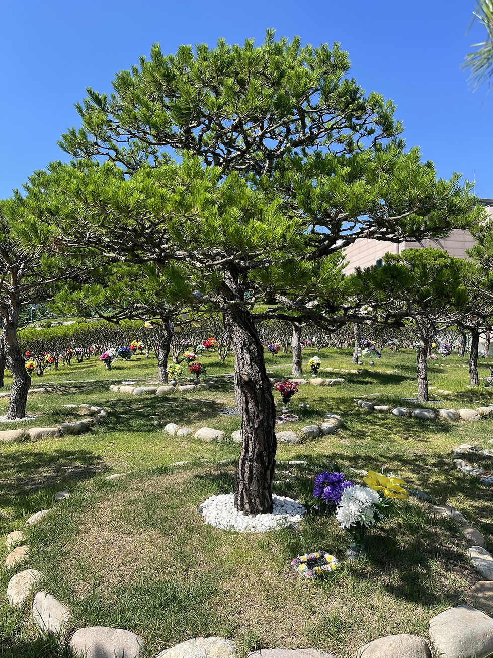 양주수목장/동두천수목장/연천수목장/의정부수목장/일산수목장/양주수목장가격/서울인근수목장