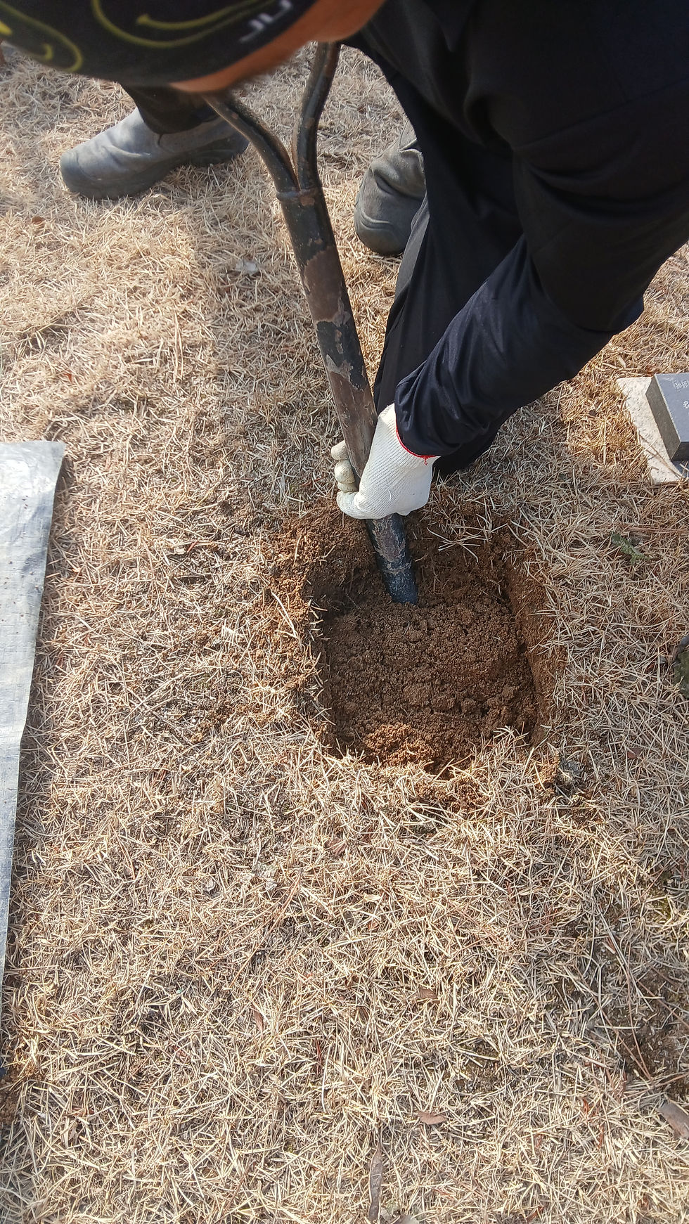 양주수목장,실제 안장절차 한눈에 정리
