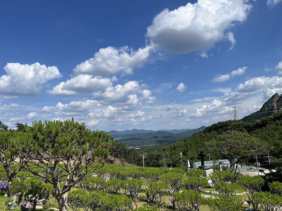 양주수목장/동두천수목장/연천수목장/의정부수목장/일산수목장/양주수목장가격/서울인근수목장/경기도수목장/남양주수목장/양주추모공원/경기도추모공원/남양주추모공원/포천수목장/서울근교수목장/연천수목장/포천추모공원/연천추모공원/구리수목장/양평장지