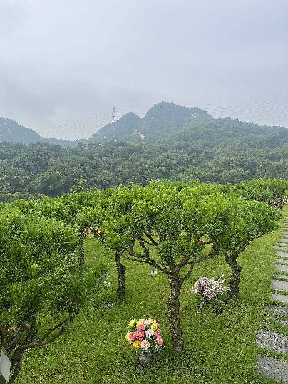양주수목장/동두천수목장/연천수목장/의정부수목장/일산수목장/양주수목장가격/서울인근수목장/경기도수목장/남양주수목장/양주추모공원/경기도추모공원/남양주추모공원/포천수목장/서울근교수목장/연천수목장/포천추모공원/연천추모공원/구리수목장/양평장지
