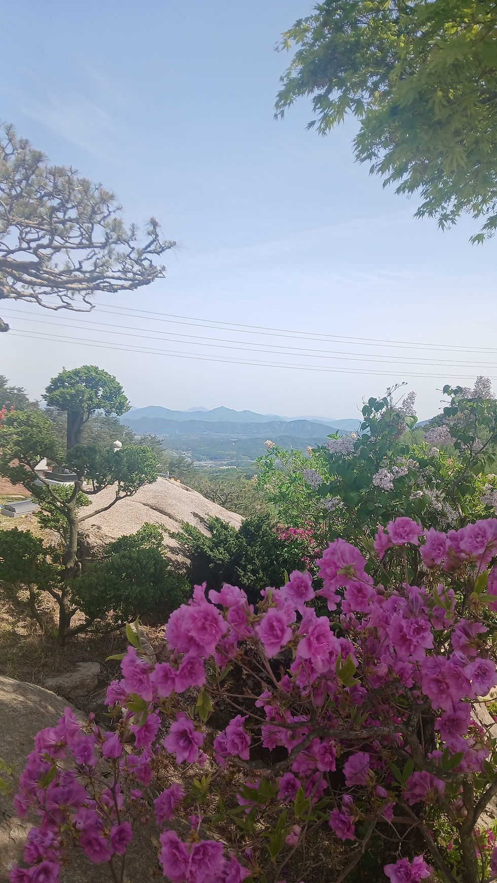 의정부수목장/양주수목장/동두천수목장/포천수목장/연천수목장/서울수목장/양평수목장/남양주수목장