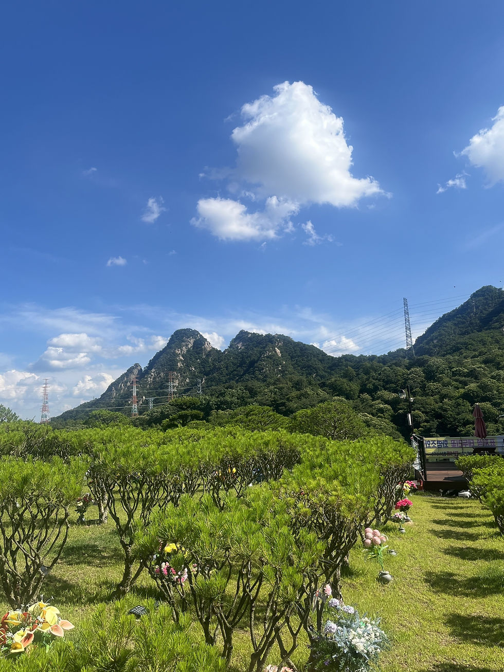 양주수목장/동두천수목장/연천수목장/의정부수목장/일산수목장/양주수목장가격/서울인근수목장/경기도수목장/남양주수목장/양주추모공원/경기도추모공원/남양주추모공원/포천수목장/서울근교수목장/연천수목장/포천추모공원/연천추모공원/구리수목장/양평장지