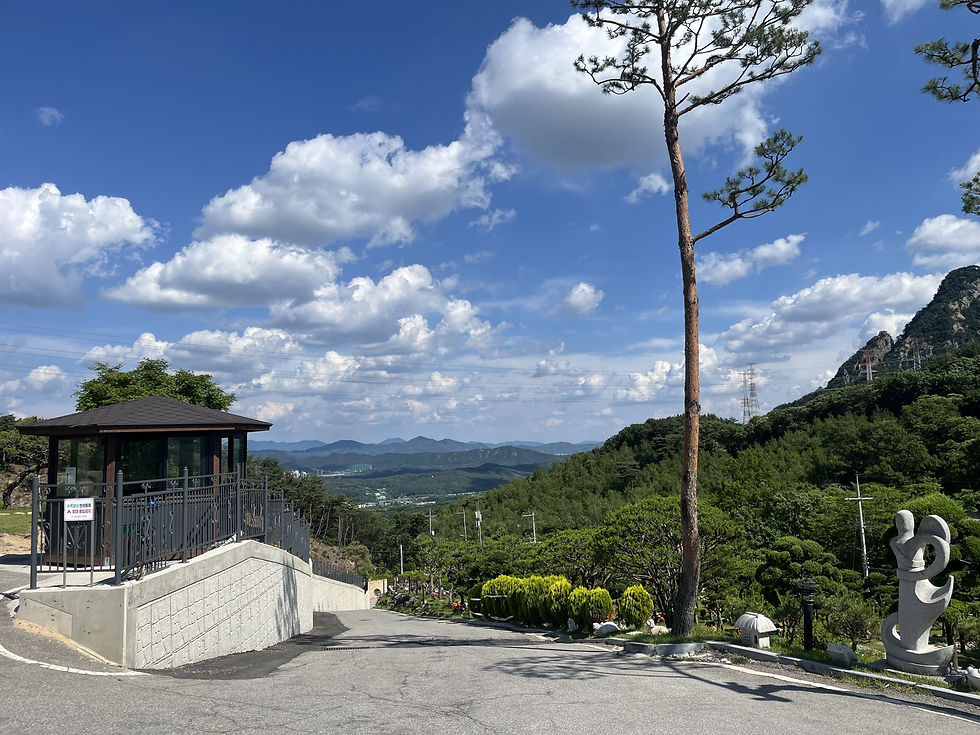 양주수목장/동두천수목장/연천수목장/의정부수목장/일산수목장/양주수목장가격/서울인근수목장/경기도수목장/남양주수목장/양주추모공원/경기도추모공원/남양주추모공원/포천수목장/서울근교수목장/연천수목장/포천추모공원/연천추모공원/구리수목장/양평장지