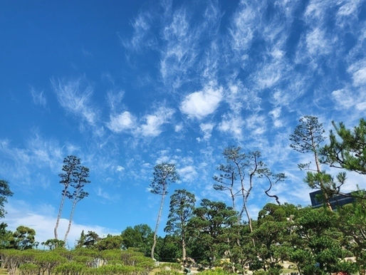 양주수목장/동두천수목장/연천수목장/의정부수목장/일산수목장/양주수목장가격/서울인근수목장/경기도수목장/남양주수목장/양주추모공원/경기도추모공원/남양주추모공원/포천수목장/서울근교수목장/연천수목장/포천추모공원/연천추모공원/구리수목장/양평장지