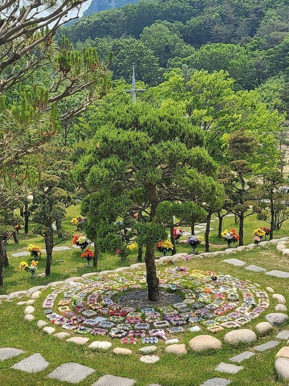 양주수목장/동두천수목장/연천수목장/의정부수목장/일산수목장/양주수목장가격/서울인근수목장/경기도수목장/남양주수목장/양주추모공원/경기도추모공원/남양주추모공원/포천수목장/서울근교수목장/연천수목장/포천추모공원/연천추모공원/구리수목장/양평장지