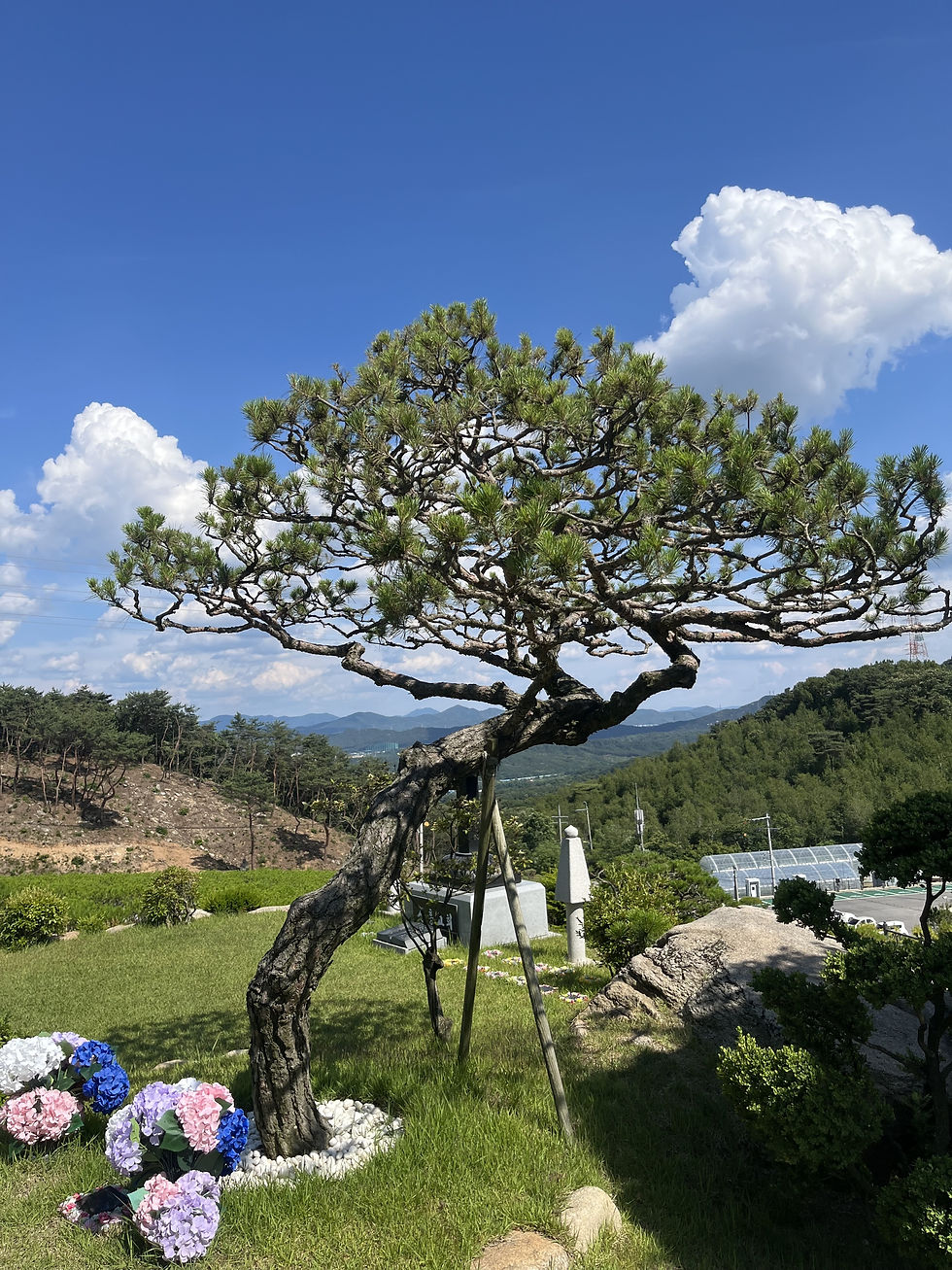 양주수목장/동두천수목장/연천수목장/의정부수목장/일산수목장/양주수목장가격/서울인근수목장