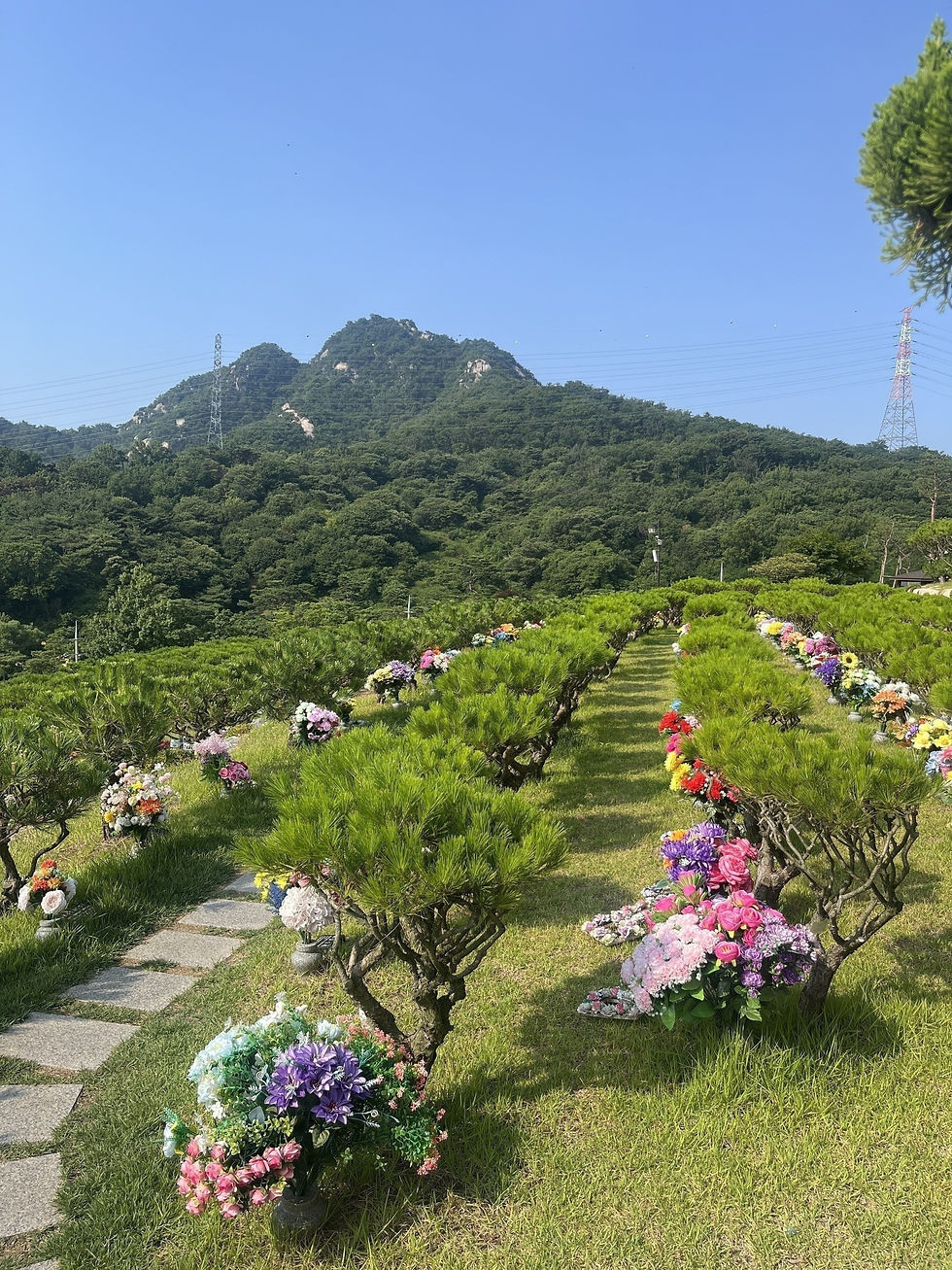 양주수목장/동두천수목장/연천수목장/의정부수목장/일산수목장/양주수목장가격/서울인근수목장/경기도수목장/남양주수목장/양주추모공원/경기도추모공원/남양주추모공원/포천수목장/서울근교수목장/연천수목장/포천추모공원/연천추모공원/구리수목장/양평장지