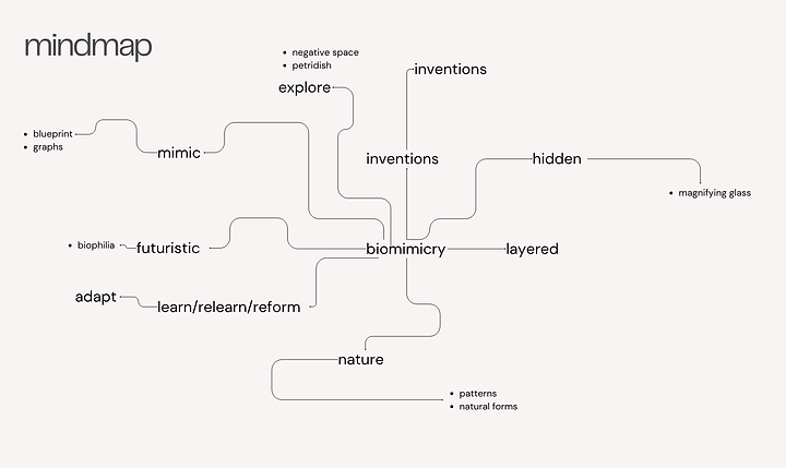 ProcessBook_Biomimcry_711_Sagarika.png