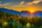 shutterstock_231710761.jpg