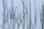 Imported Photos 00112