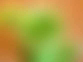 Healthy Green Smoothie