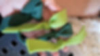 ree