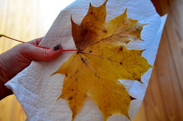 drying out fall leaves
