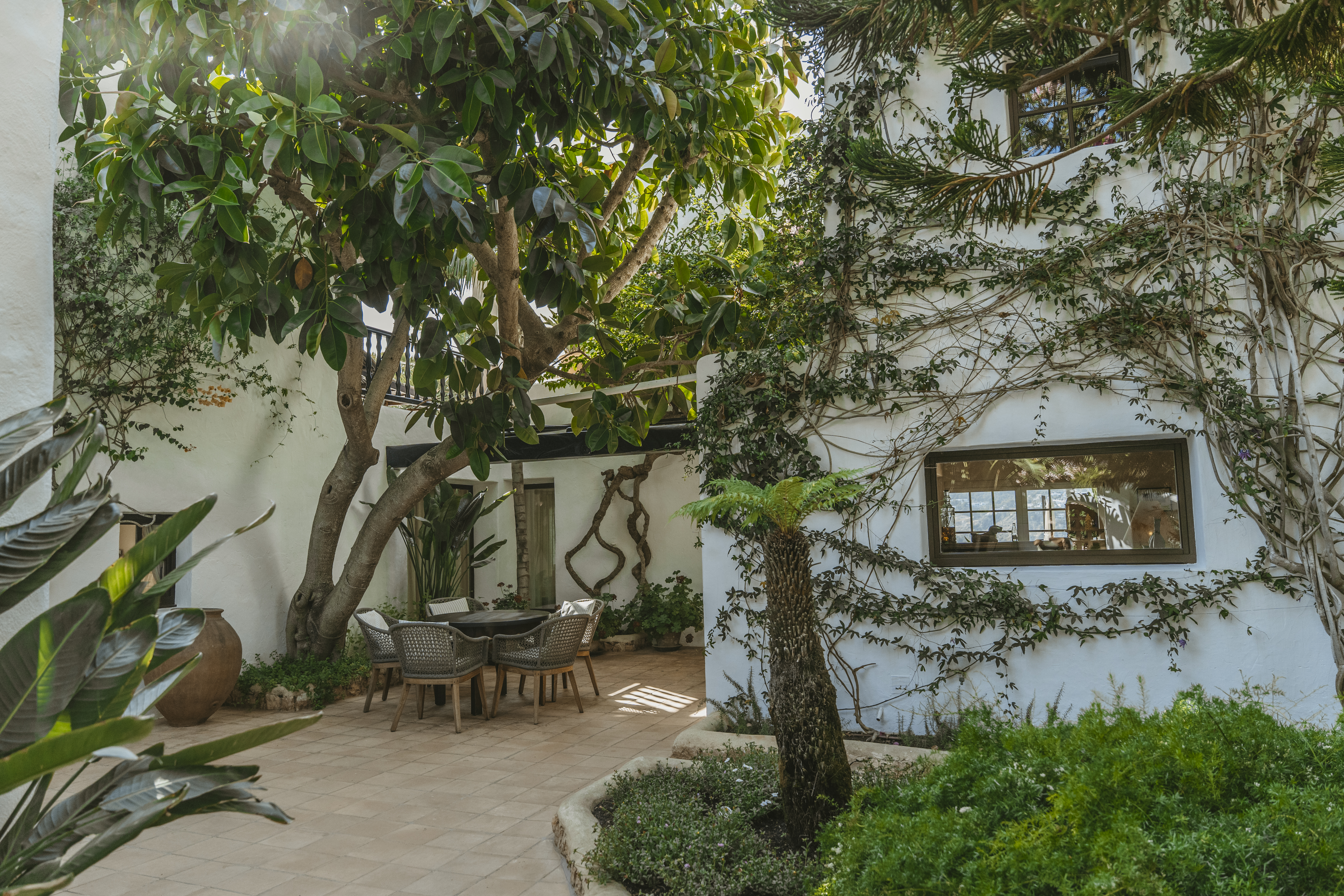 Charming villa courtyard with a dining table under a large tree, white walls covered in green vines.