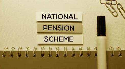 NPS (National Pension System)