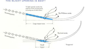 Should Bat path be different based on age?