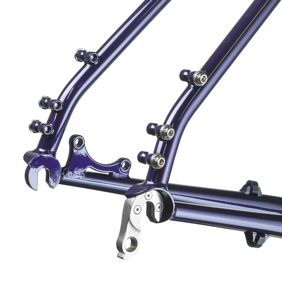 תמונה ממוזערת: Velo Orange Piolet - Frameset