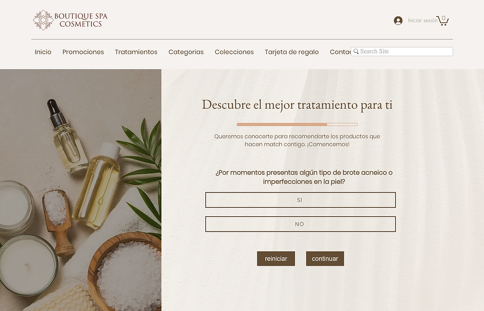 Skin Type Tester created in Wix website.png