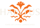 Habitus Logo