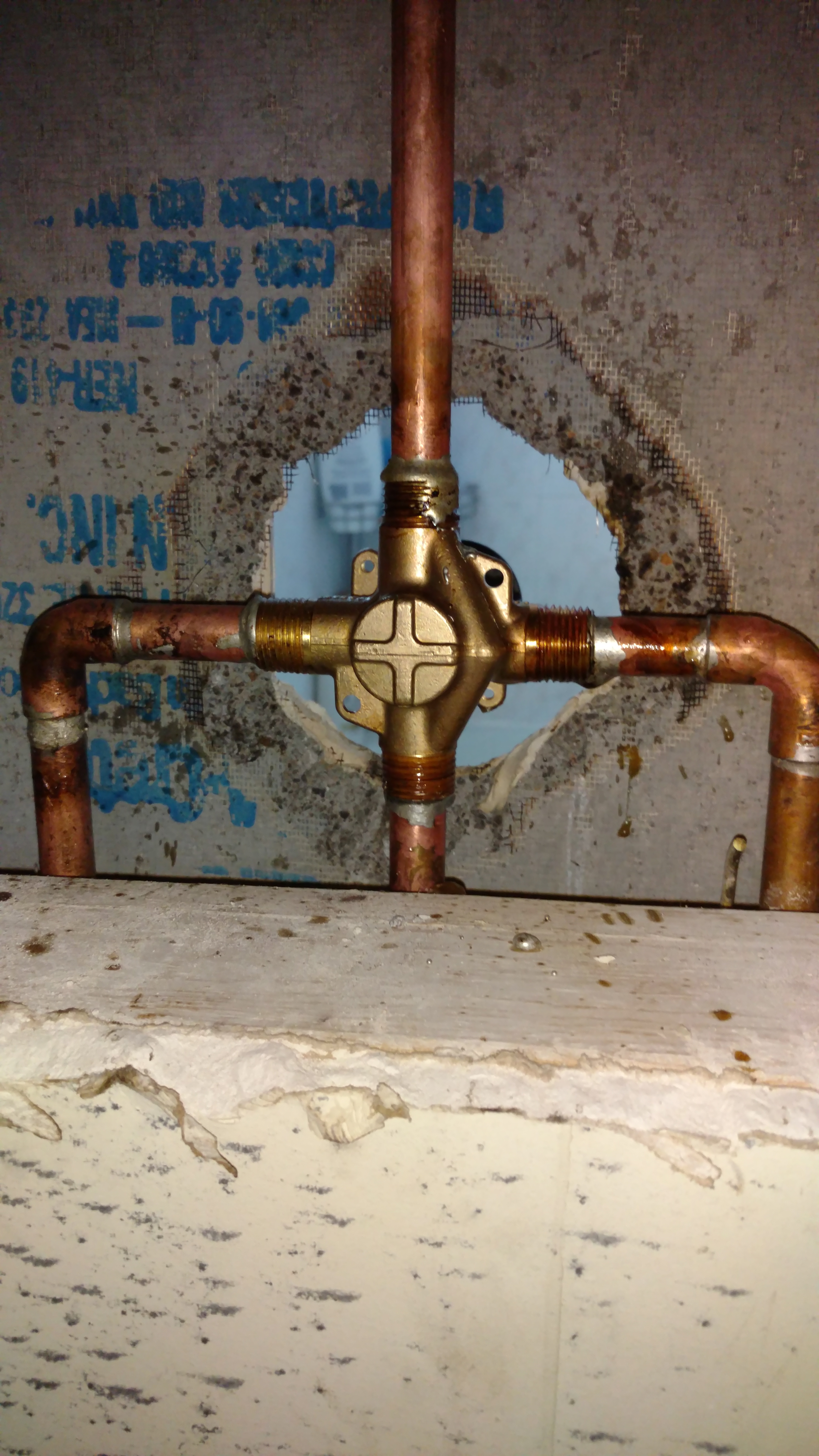 Shower Repair