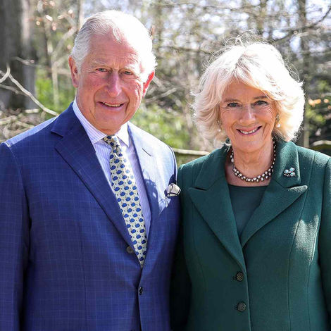 ROYAL CONNECTION 