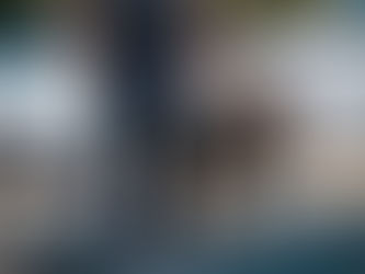 K9 Ghost assists SRPD SET Team to recover a loaded firearm, magazines and ammunition during search warrant service