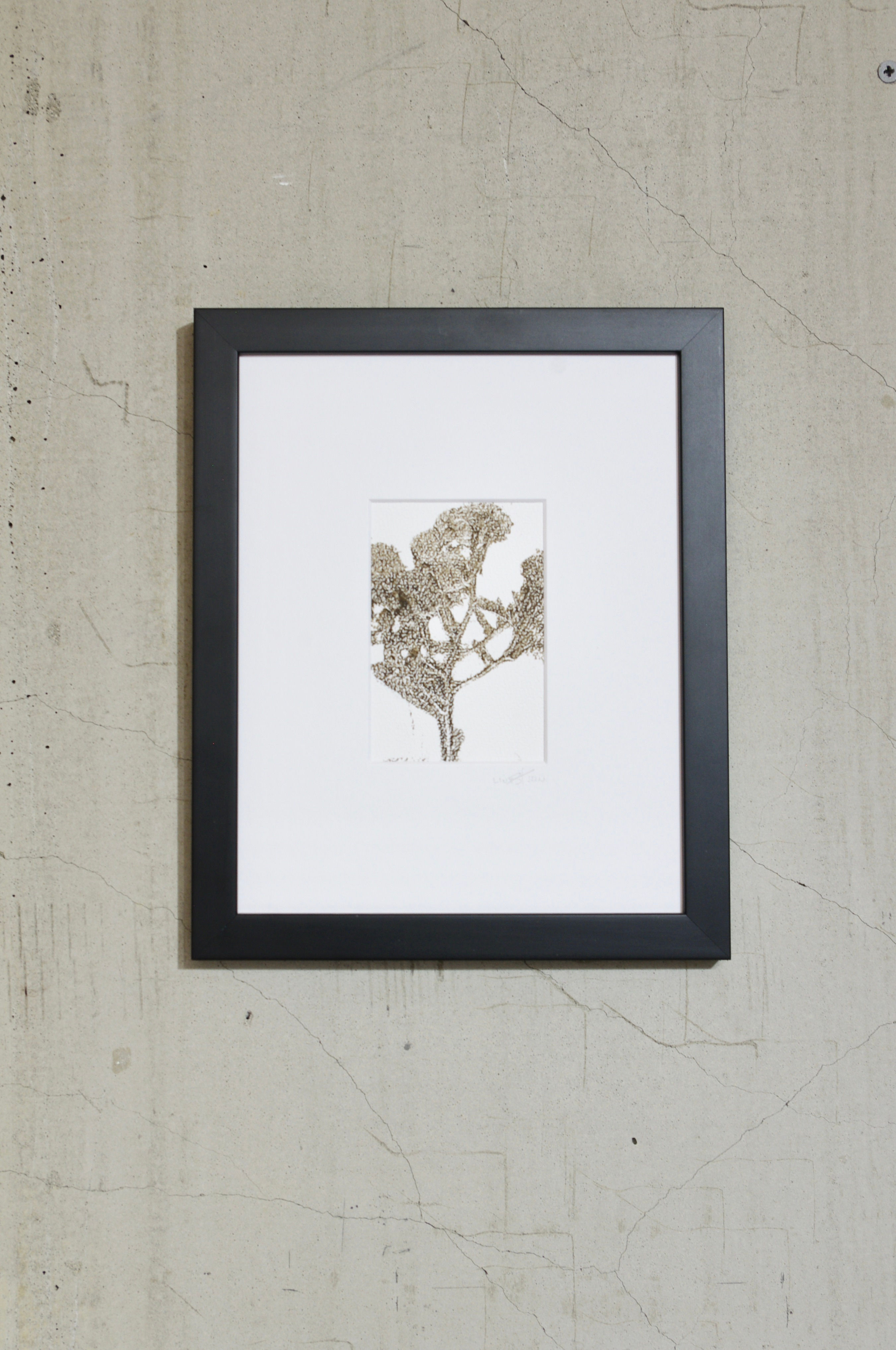 Monotype Terre mère 03