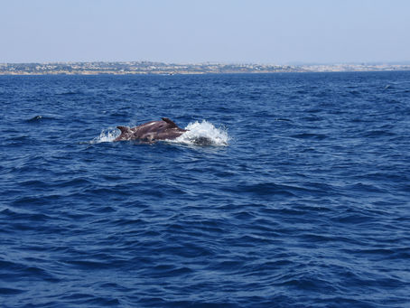 A vacation alone in the south * Bir başıma güneyde bir tatil 