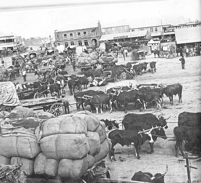 Kimberley Market