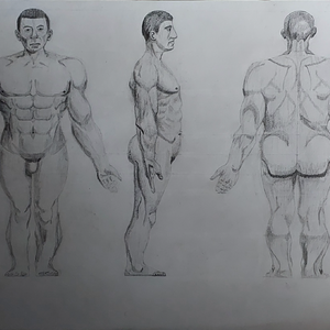 Figure Drawing
