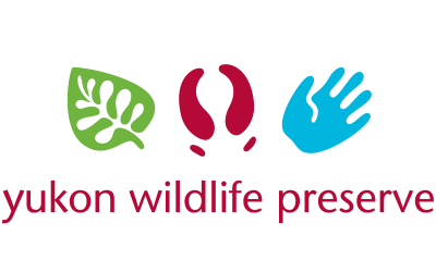 Yukon wildlife preserve