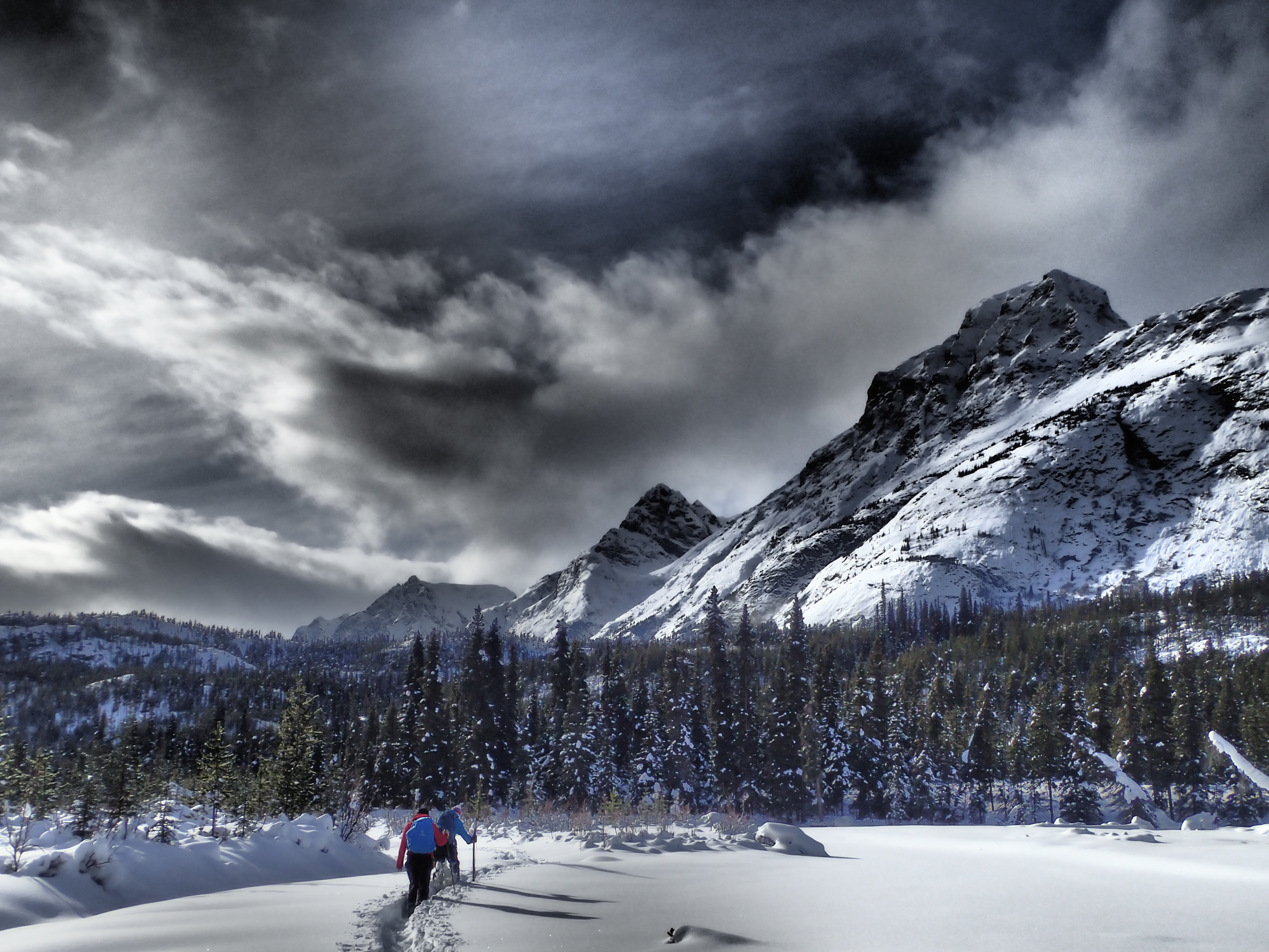 YukonPhotograhy tours, expeditions Boreal Kennels