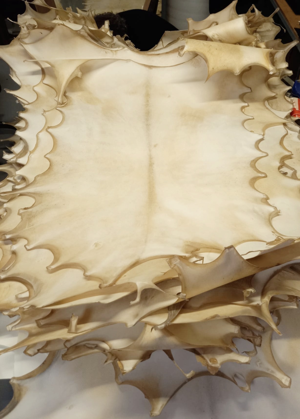 Antique goatskin parchment Vellum Real parchment Visual Arts