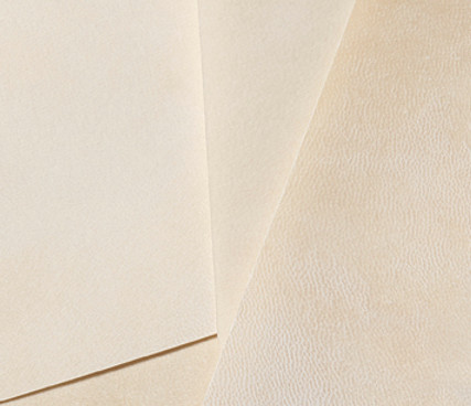 10 sheets of parchment_edited.jpg