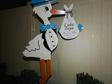 The Daily Stork