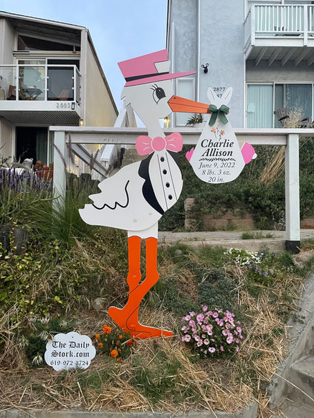 The Daily Stork ~ 619-972-3724 ~ San Diego, California ~ Stork Yard Sign