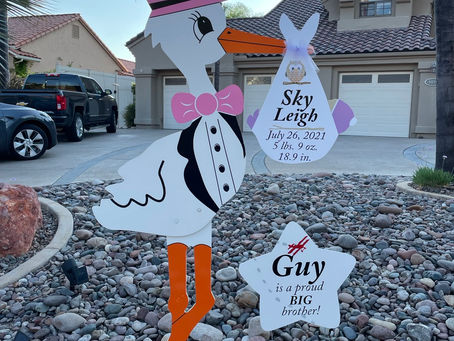 The Daily Stork ~ 619-972-3724 ~ Alpine, California ~ Girl Stork ~ Sibling Sign